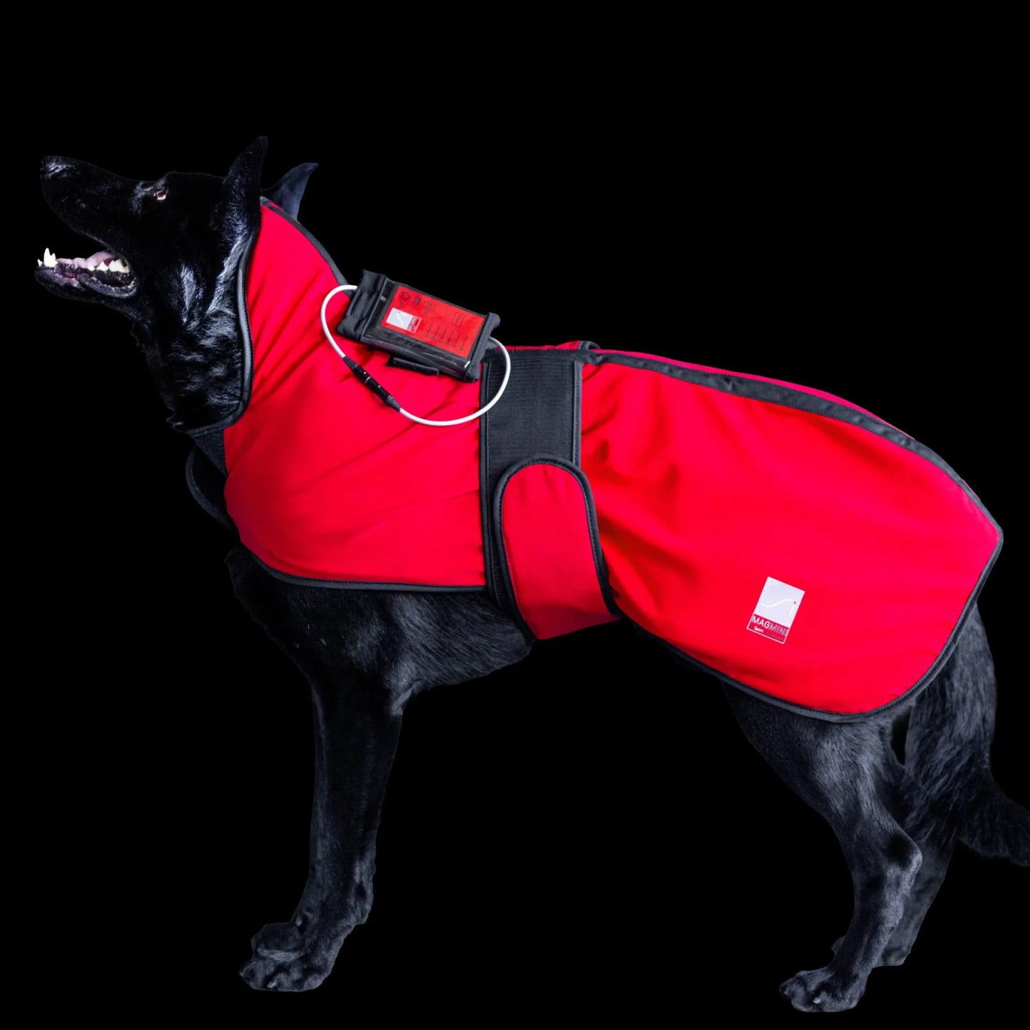 PEMF Dog Coat