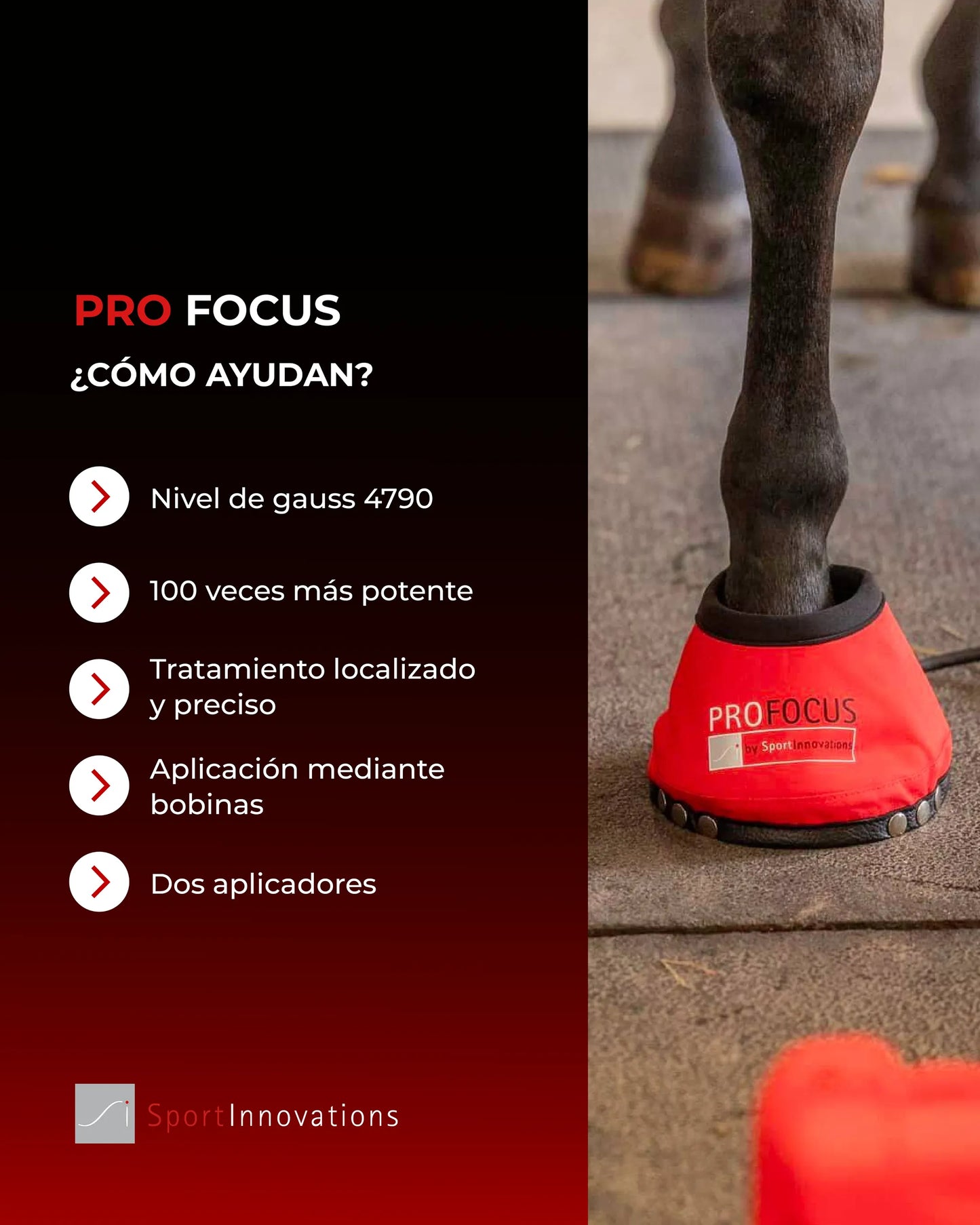 ProFocus