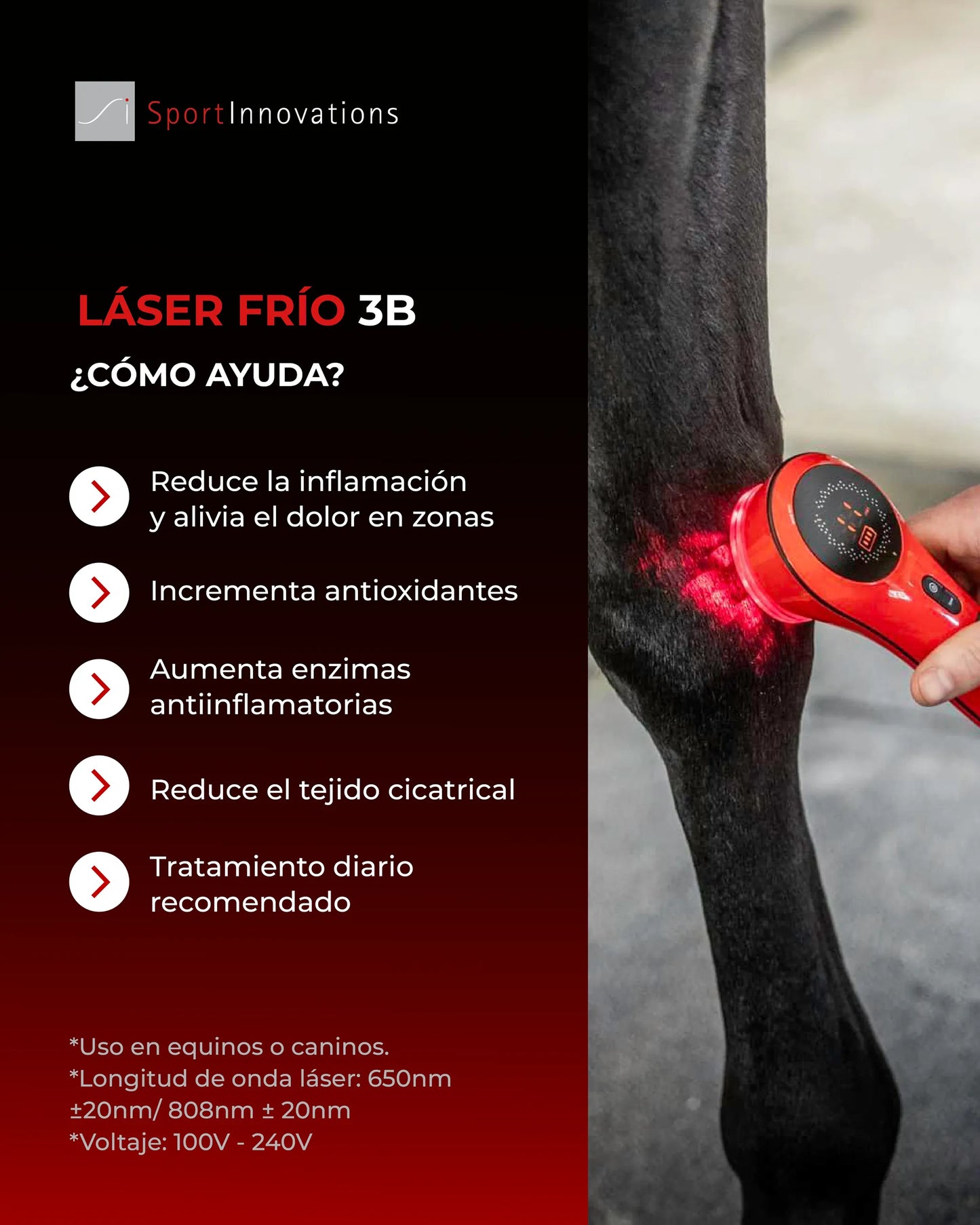 3B Cold Laser